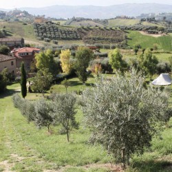 Agriturismo Villa Bussola - B&B, minicamping & apartments