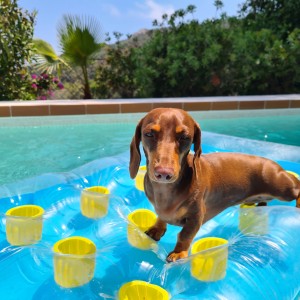 Charmante vakantievilla met fantastisch zeezicht